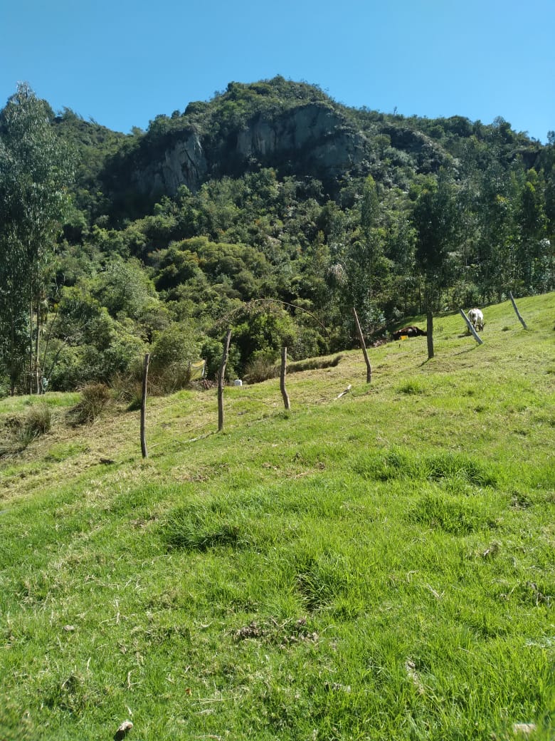 WhatsApp-Image-2024-01-16-at-10.49.49-AM